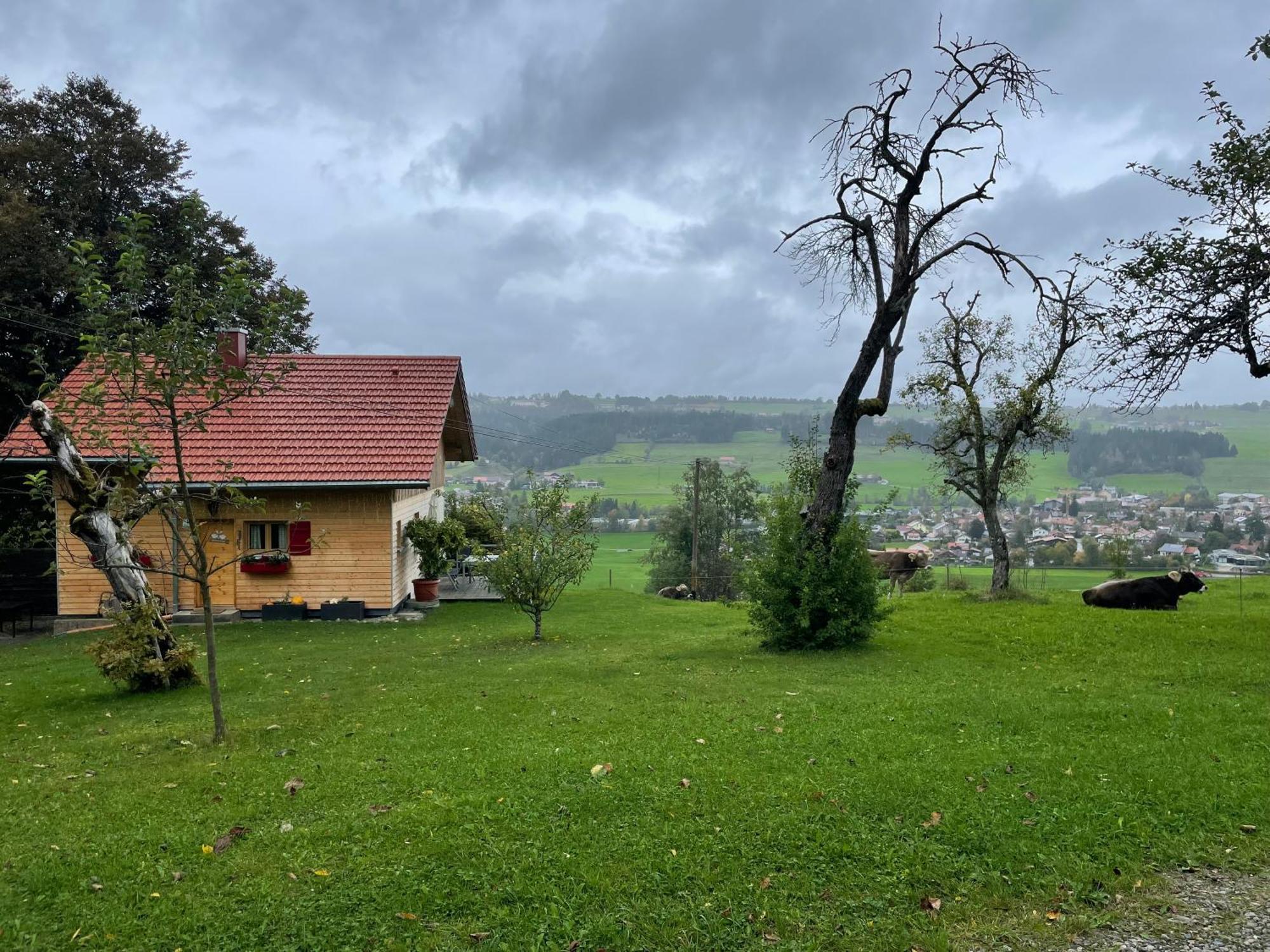 Ferienhaus Talblick 魏勒-锡默贝格 外观 照片